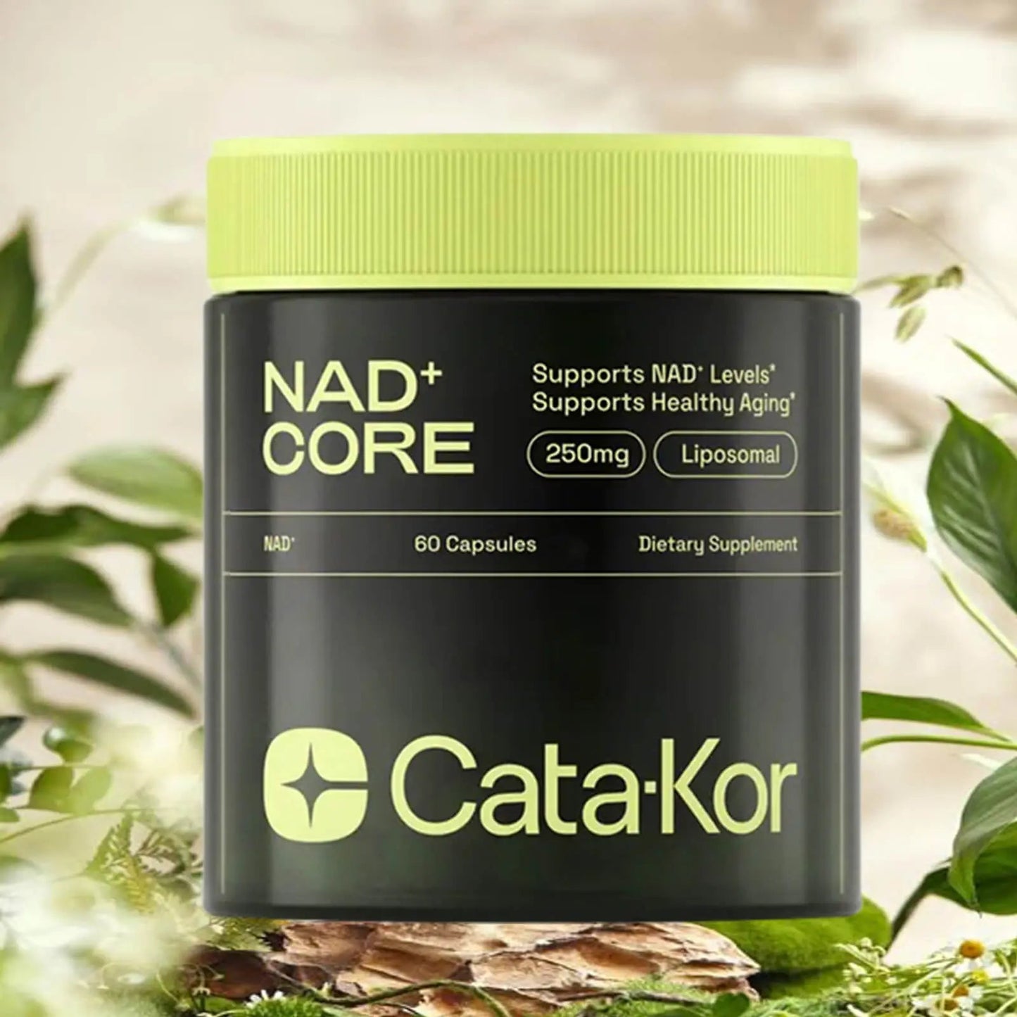 Cata - Kor NAD+ Boost – Anti - Aging & Energy, 60 Caps - VitaFizz
