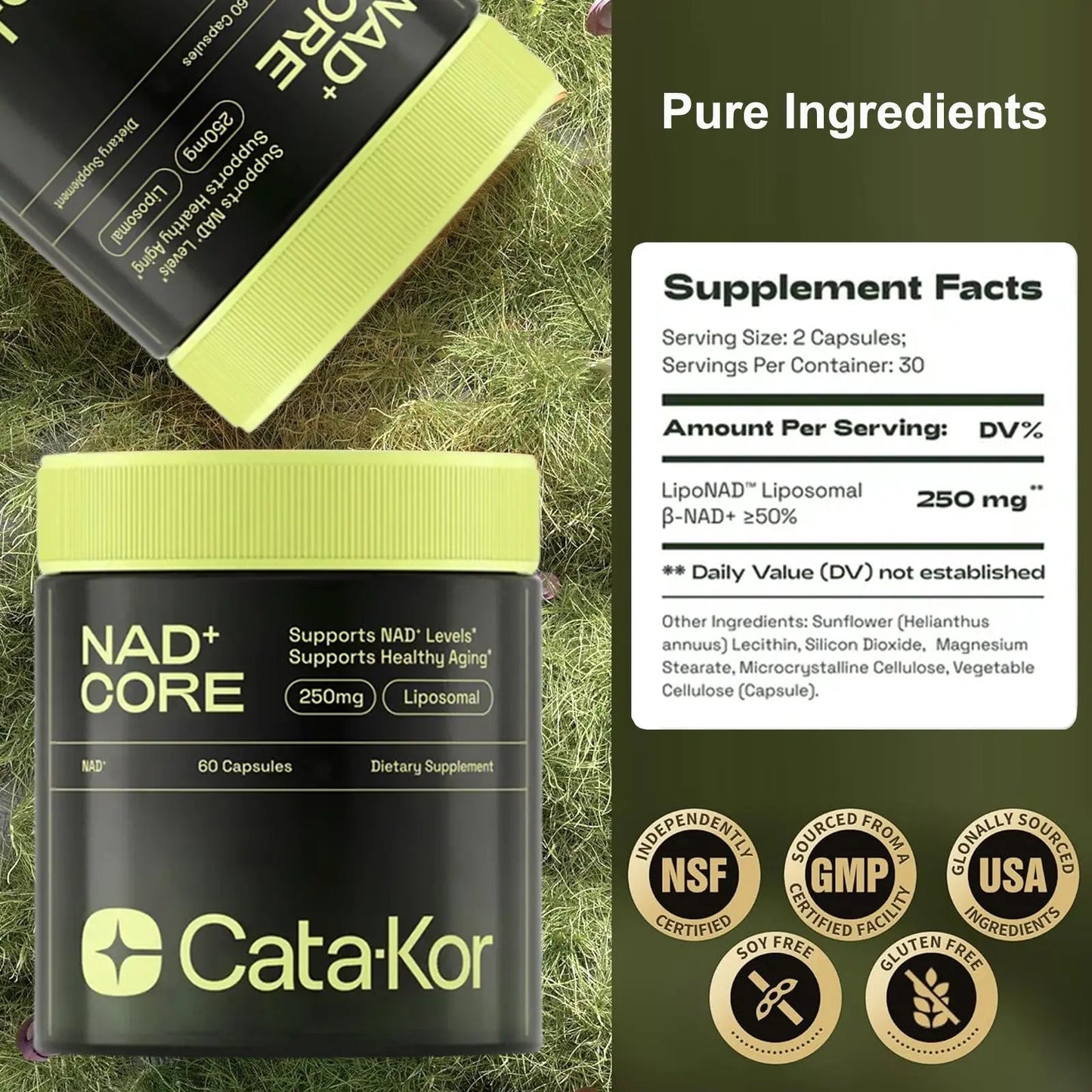 Cata - Kor NAD+ Boost – Anti - Aging & Energy, 60 Caps - VitaFizz