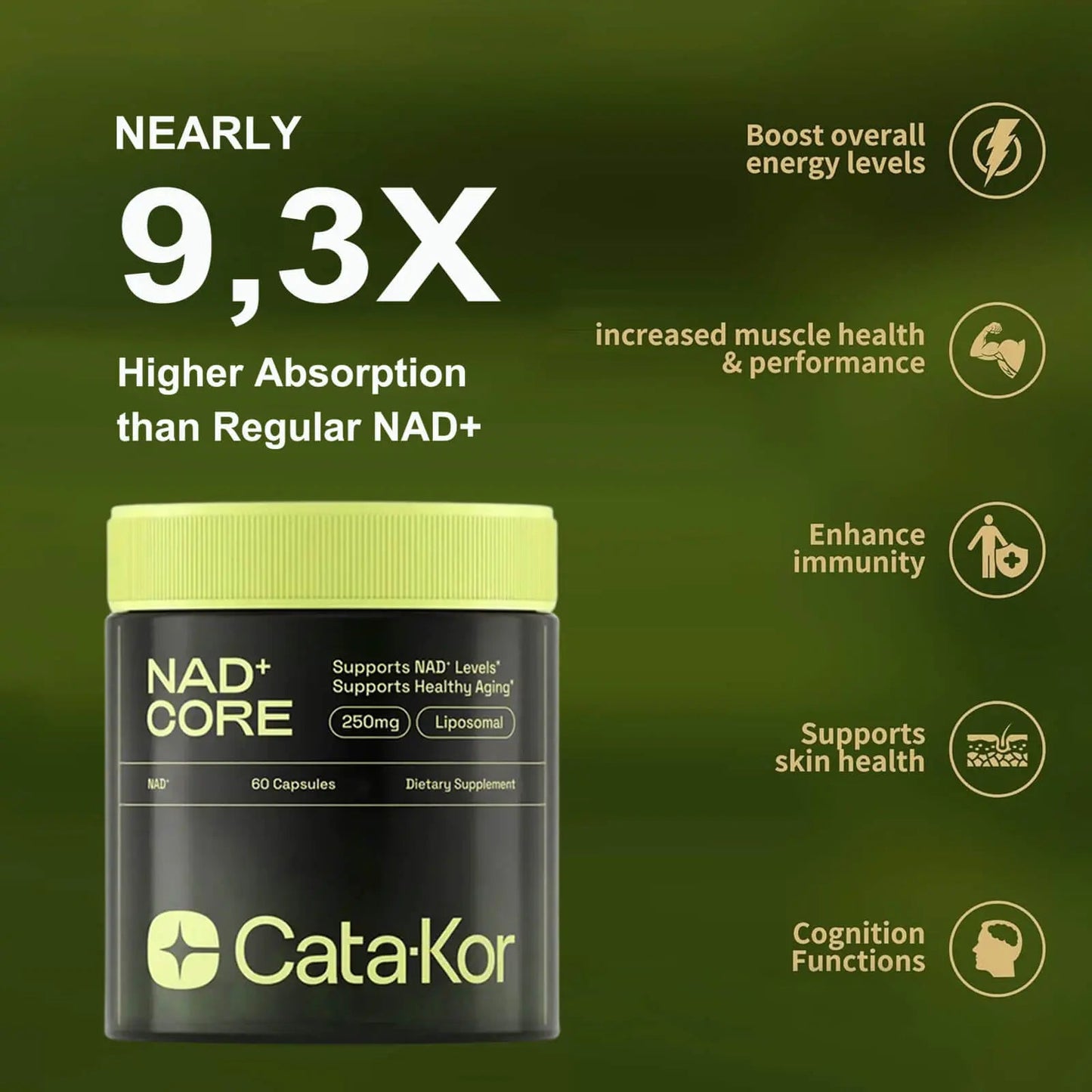 Cata - Kor NAD+ Boost – Anti - Aging & Energy, 60 Caps - VitaFizz